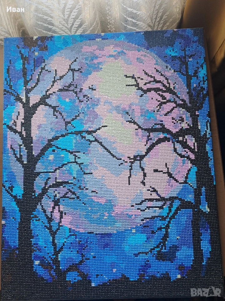 Диамантен Гоблен с подрамка, снимка 1