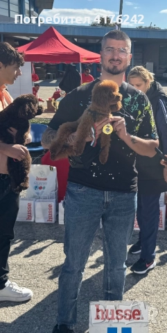 Toy с корейско потекло