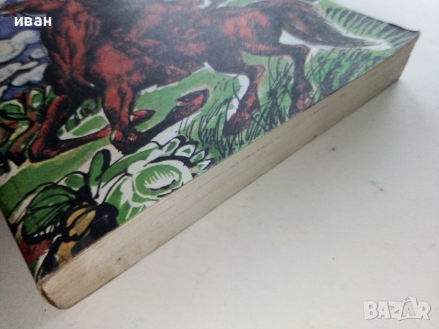 Оцеола - Майн Рид - 1979г., снимка 8 - Художествена литература - 38098495