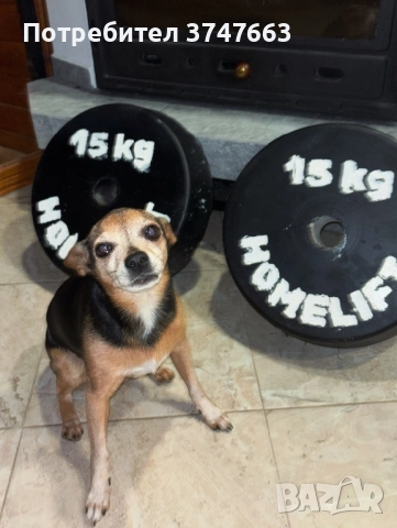 HOMELIFT - Изработени Фитнес дискове 