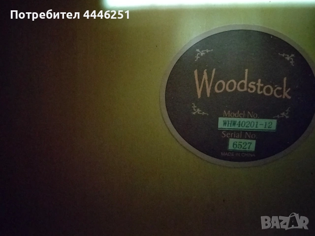 Продавам електро акустична 12 струнна китара Woodstock , снимка 8 - Китари - 53974759