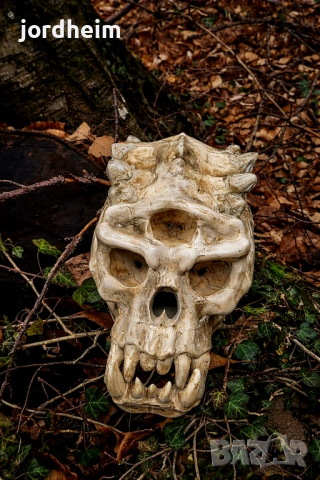 3D фентъзи черепи. 3D Fantasy realistic skulls dark fantasy, снимка 6 - Декорация за дома - 53940500