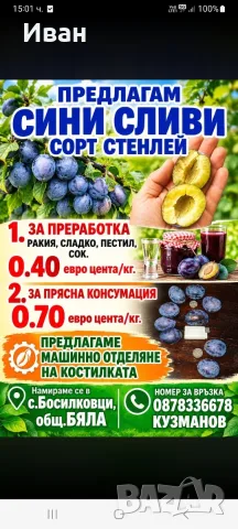 Продаваме сини сливи, снимка 2 - Домашни продукти - 55496494