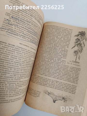 Растениевъдство, снимка 10 - Специализирана литература - 54087470