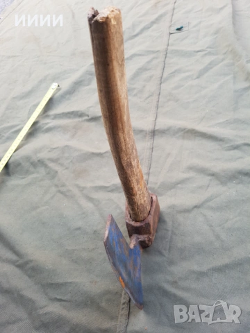 Брадва кривица 