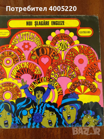 Грамофонни плочи - големи, снимка 11 - Грамофонни плочи - 52579014