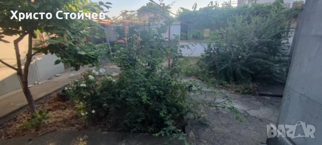 Рязане, кастрене, почистване на терени, снимка 7 - Други услуги - 51964497