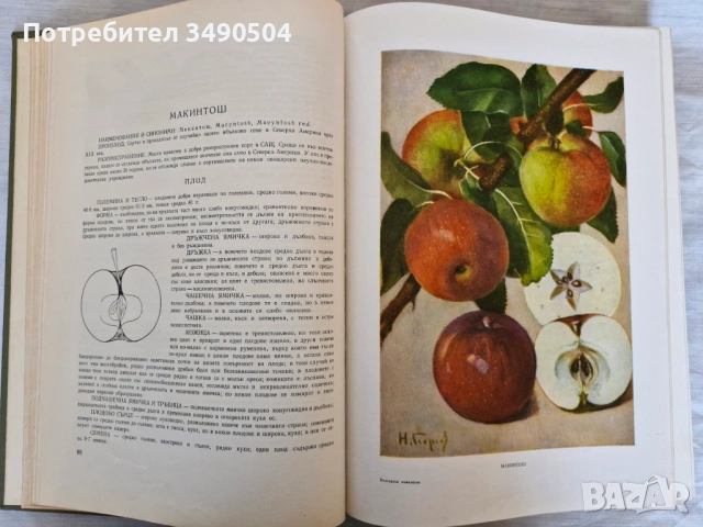 Продавам "Българска Помология в 2 тома", снимка 4 - Енциклопедии, справочници - 54312428