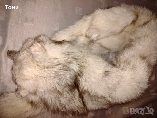  Шал яка от полярна бяла лисица , снимка 4 - Шапки - 19116831