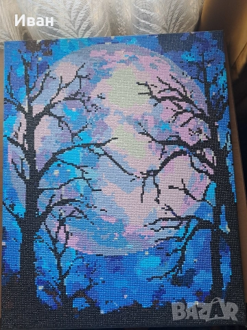 Диамантен Гоблен с подрамка