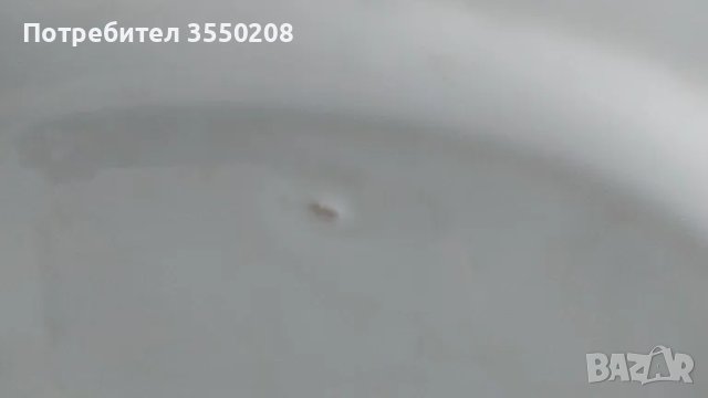 Порцеланова чиния, елипса, Изида, снимка 7 - Чинии - 49243225