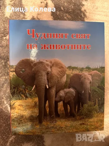 Чудният свят на животните