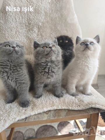 качеството не е случайно заповядайте в Хасково да не видите 💞💞💞