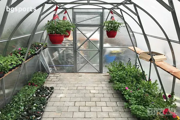 Руска Оранжерия, снимка 2 - Оранжерии - 49769398