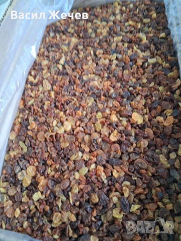 Стафиди за Ракия и Вино!, снимка 3 - Други - 53328805