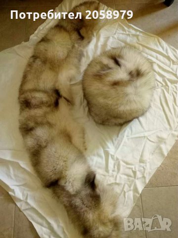 Продавам комплект дамска шапка и яка