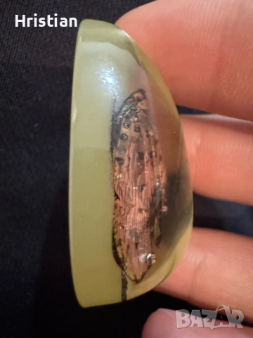 Препарирана пеперуда , снимка 3 - Други животни - 52344472