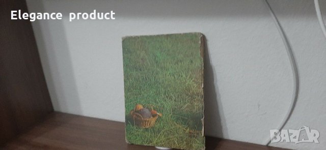 Книга Плетено облекло за нашите деца , снимка 5 - Други - 31309269