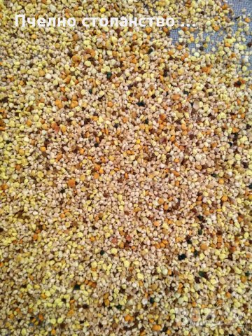 БИО Пчелен прашец от Сакар планина, снимка 7 - Пчелни продукти - 18145770