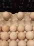 ПРОДАВАМ РАЗПЛОДНИ ОПЛОДЕНИ ПУЕШКИ ЯЙЦА, снимка 7