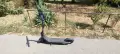 Segway Ninebot E2 Pro – електрическа тротинетка + зарядно, снимка 2