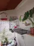 Продавам Канари 6 бр и 4 бр клетки с всички аксесоари!, снимка 12