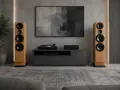 Тонколони Blackswift Audio At Concert !, снимка 1