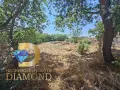 Парцел в село Горски извор, общ. Димитровград, снимка 3