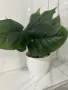 Красиво изкуствено растение в саксия, Cozevdnt, зелено, снимка 12