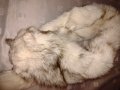  Шал яка от полярна бяла лисица , снимка 4