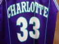 CHARLOTTE HORNETS ALONZO MOURNING CHAMPION NBA ОРИГИНАЛЕН ПОТНИК РАЗМЕР L JERSEY , снимка 3