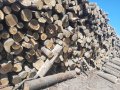 предлагам дърва за огрев дъб и бук тел 0895977422, снимка 2