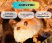 ЕКОСТОП Биологичен продукт с тимол за борба с вароатоза