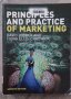 Principles and Practice of Marketing (David Jobber, Fiona Ellis-Chadwick)