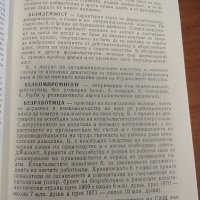 Кратък политически речник , снимка 4 - Специализирана литература - 42598821