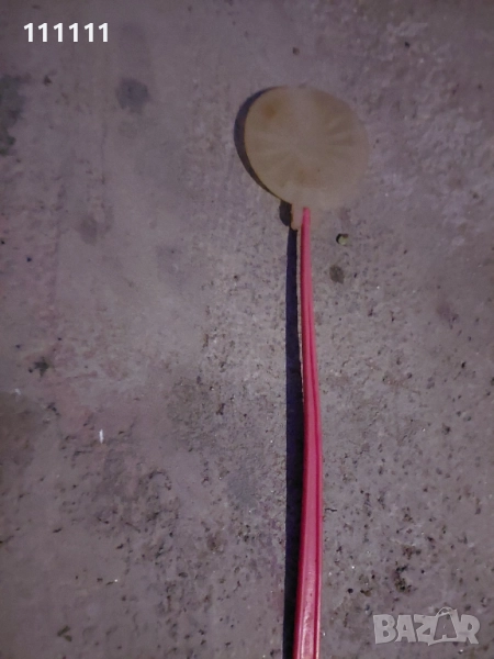 Мухотрепачка за колекционери , снимка 1