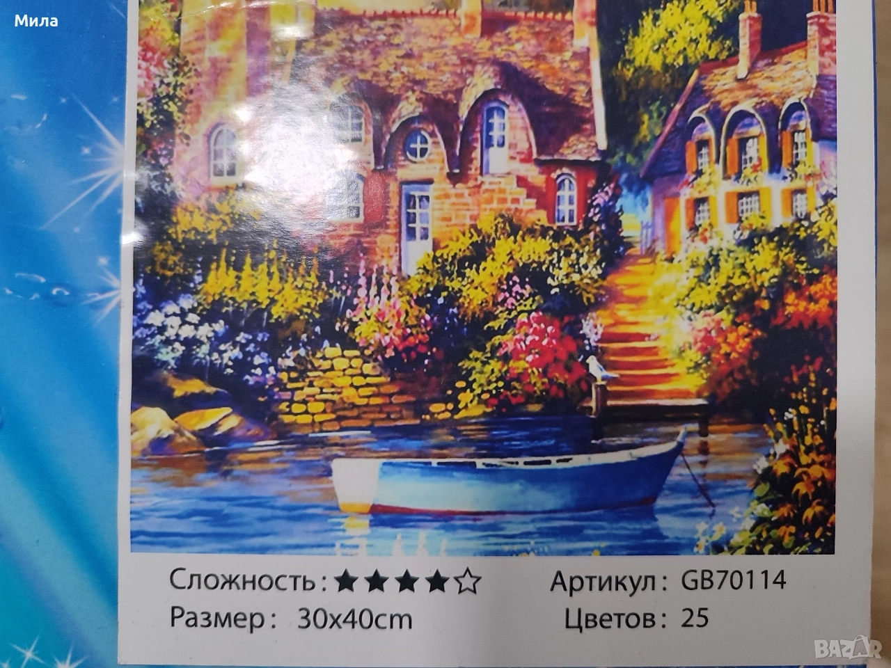 Диамантен гоблен 30/40, снимка 1