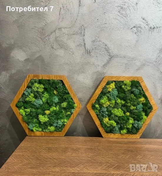 Шестоъгълно пано със скандинавски мъх , снимка 1