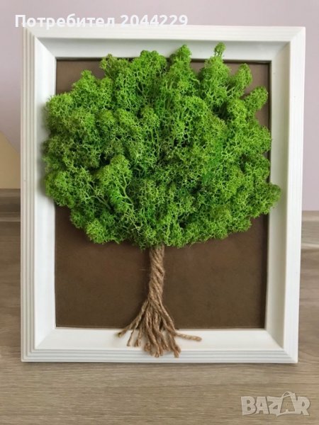 Дърво от скандинавски мъх, снимка 1