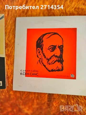 Класическа музика плочи , снимка 6 - Грамофонни плочи - 50475995