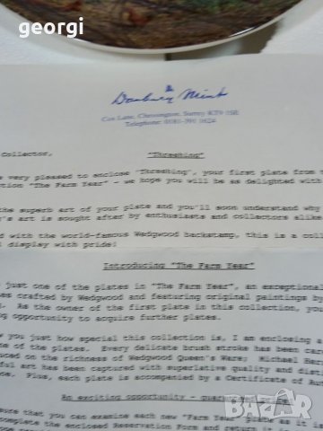 Декоративна порцеланова чиния , снимка 8 - Декорация за дома - 35420069