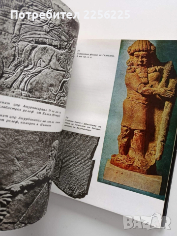 Богове, гробници и учени, снимка 3 - Специализирана литература - 54016583