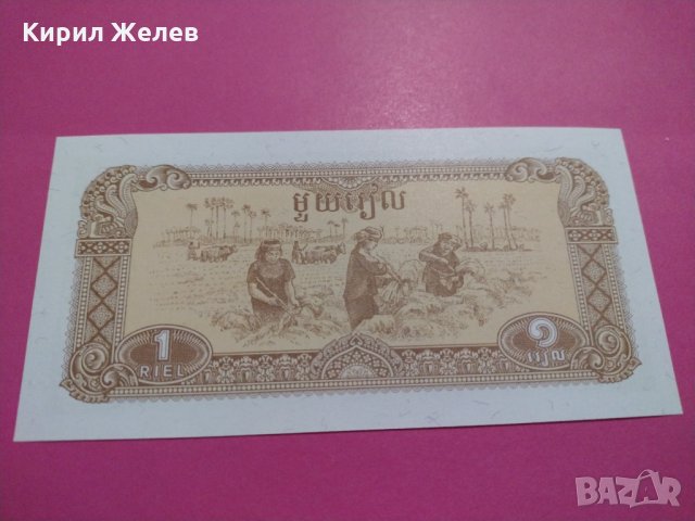 Банкнота-16037