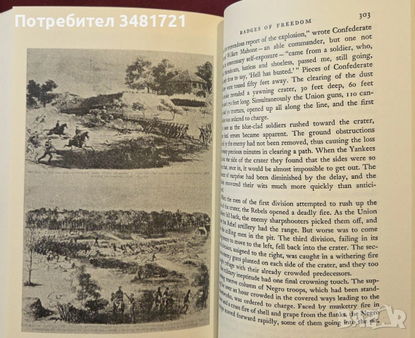 Негрите в гражданската война в САЩ / The Negro In The Civil War, снимка 5 - Художествена литература - 54245048