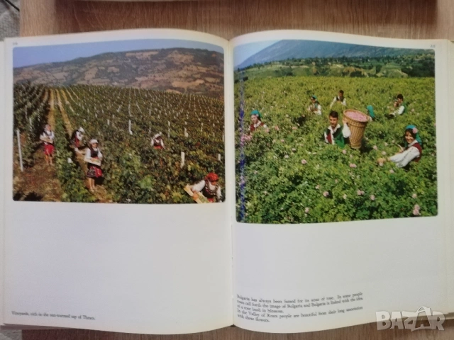 Bulgaria, Stanislav Sivriev, снимка 9 - Специализирана литература - 53180619