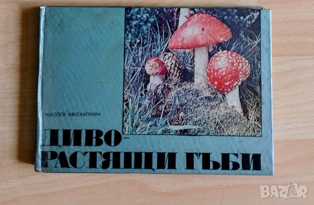 Диворастящи гъби - Ръководство за любители гъбари