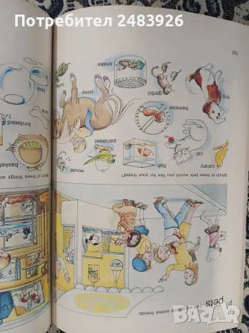 The Golden picture dictionary  Lucille Ogle, Tina Thoburn, снимка 4 - Учебници, учебни тетрадки - 55974606