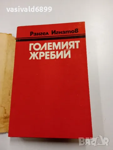 Рангел Игнатов - Големият жребий , снимка 4 - Българска литература - 49390136