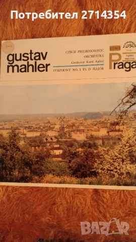 Класическа музика плочи, снимка 9 - Грамофонни плочи - 50475393