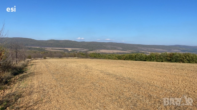 10 Декара Земеделска земя област Варна - Рента 100 лева - Цена 2390/дка, снимка 5 - Земеделска земя - 52516373